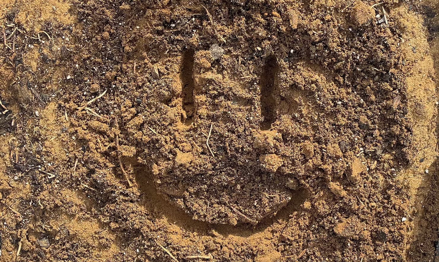 Pourquoi Adopter la Permaculture?