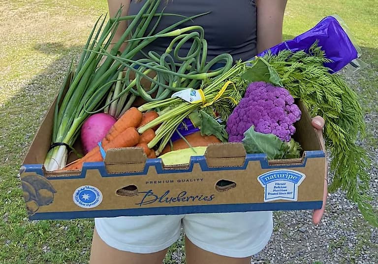 5 trucs pour éviter de gaspiller son panier bio