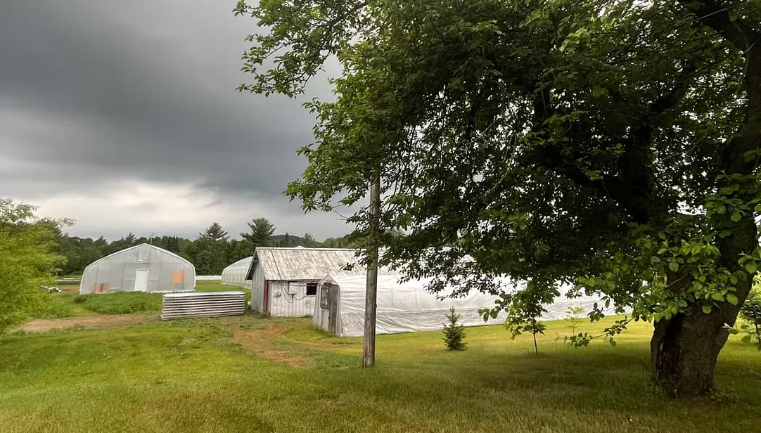 Ce que la terre nous enseigne, chaque jour