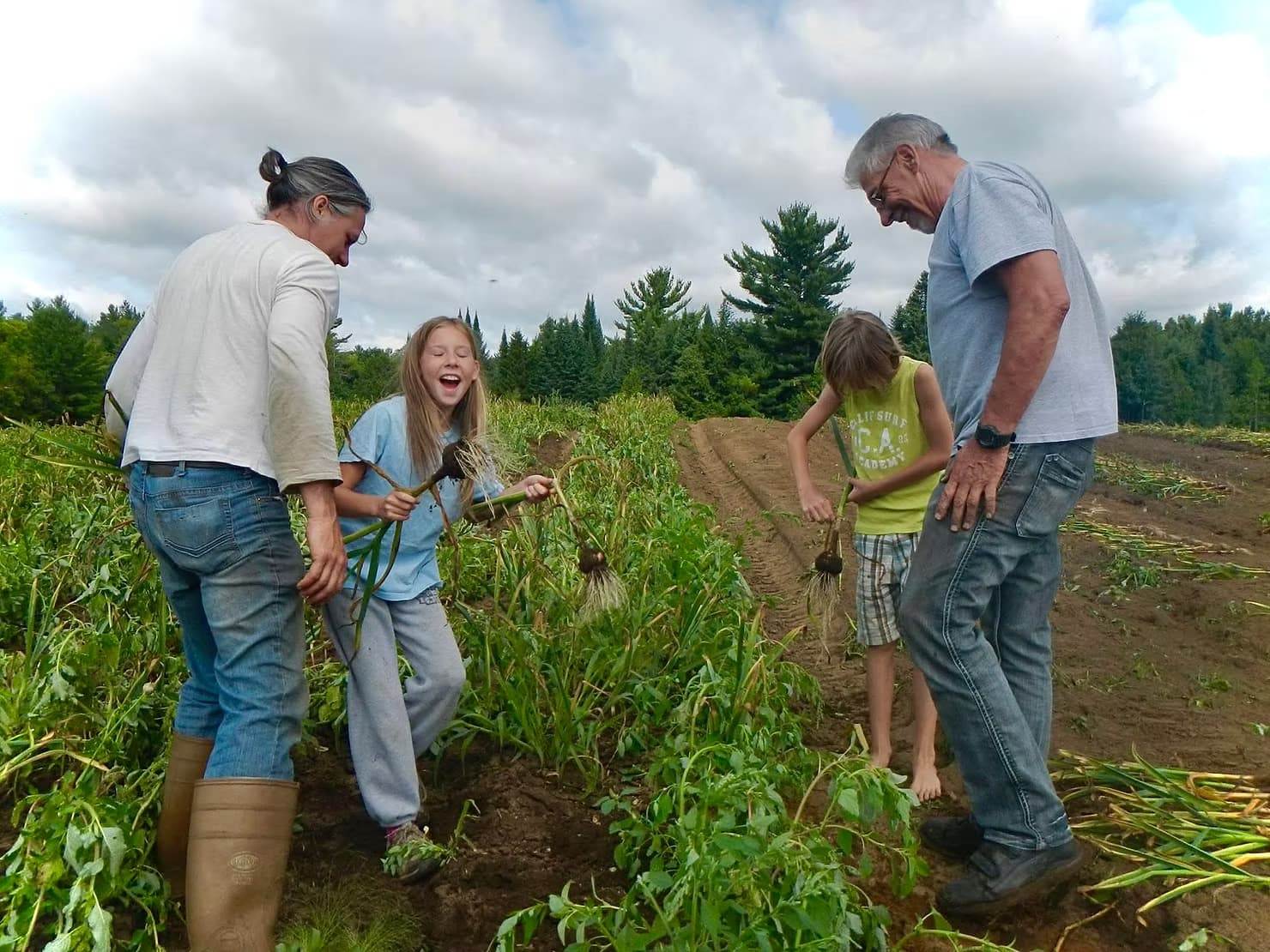 Tout savoir sur l’ail bio chez Mon Panier Bio