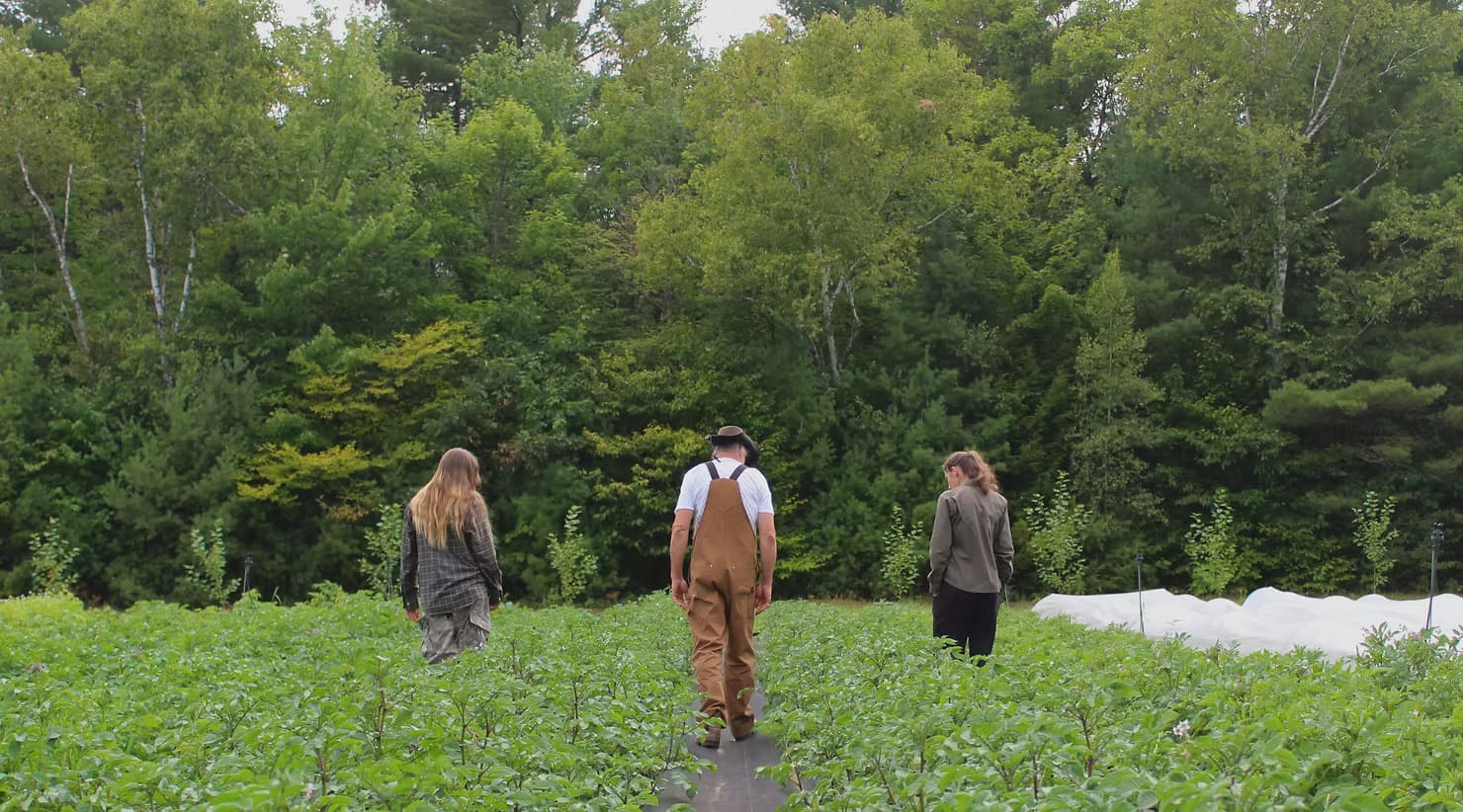 Retour sur notre été aux champs : réussites, défis et apprentissages