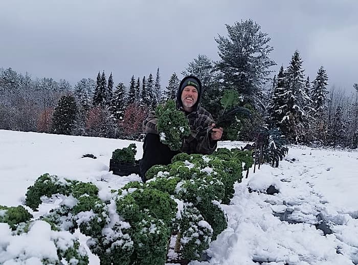 Première hiver sous nos serres : une nouvelle aventure commence !