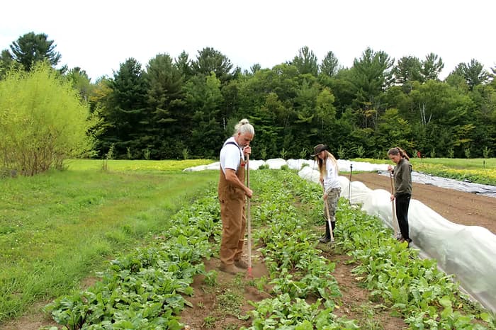 Nos p’tits outils qui nous changent la vie