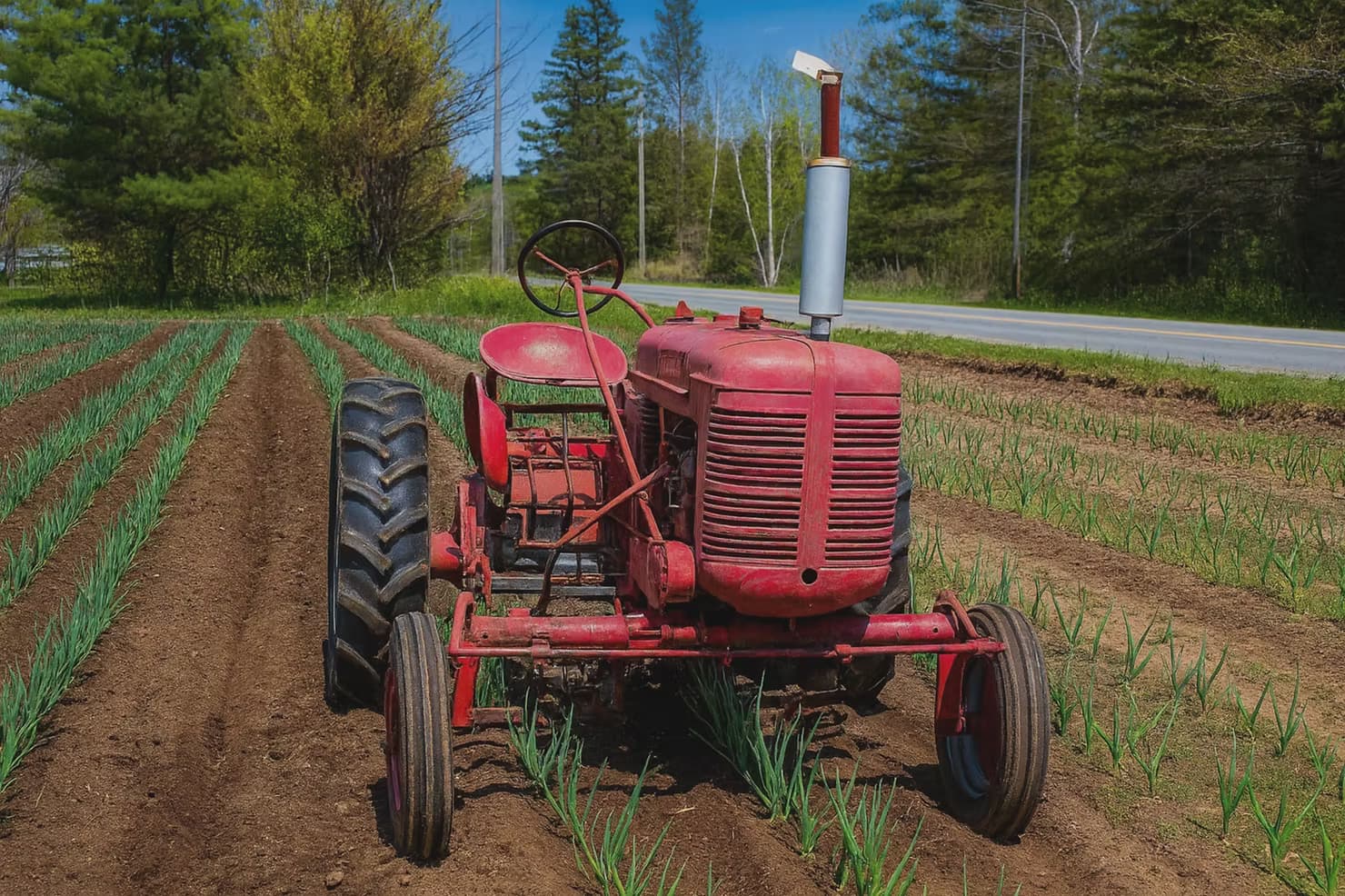 Notre parcours : comment Mon Panier Bio est né