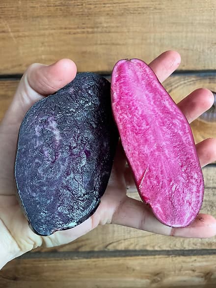 Des patates qui sortent de l’ordinaire : nos variétés à chair bleue et à chair rouge