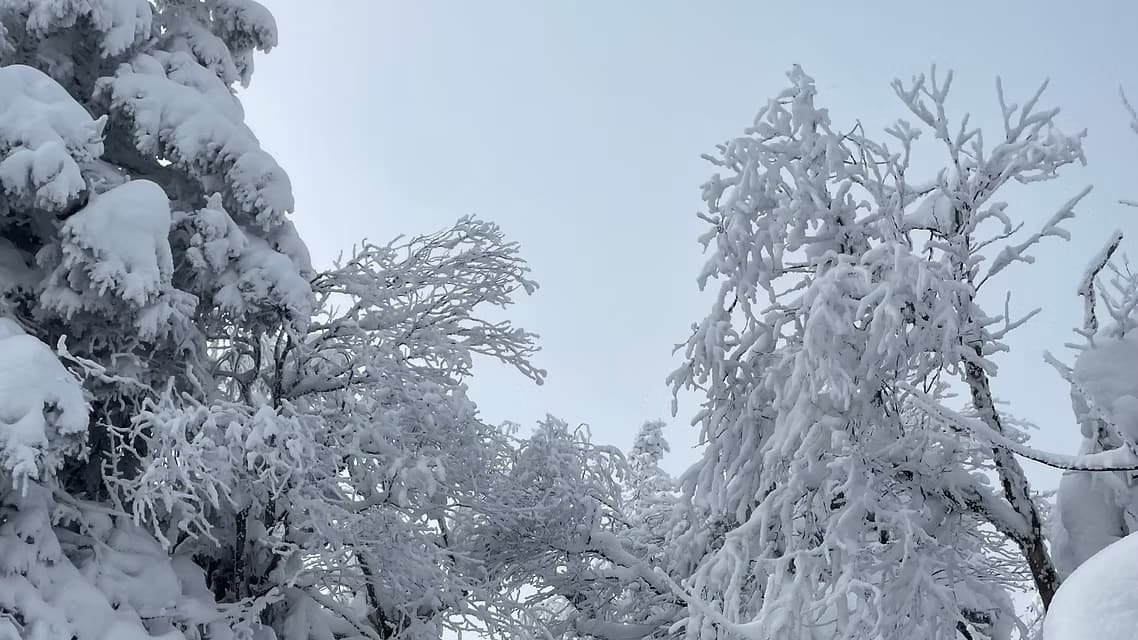 C’est l’hiver : nos trucs naturels pour soulager rhumes et grippes