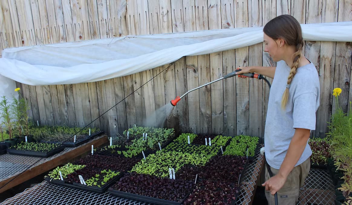 Être jeune en agriculture aujourd’hui